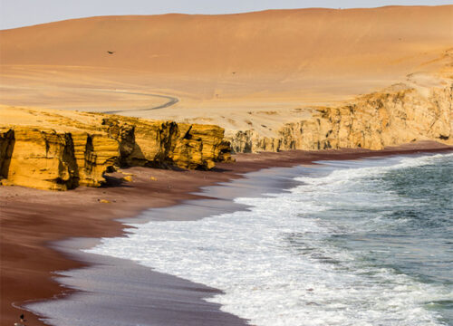 Ballestas Islands & Paracas National Reserve – Half Day Adventure