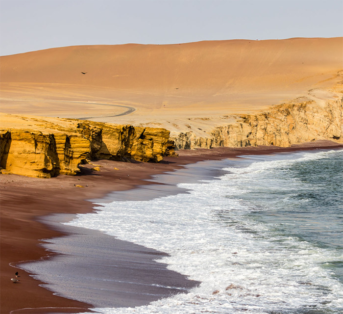 Ballestas Islands & Paracas National Reserve – Half Day Adventure
