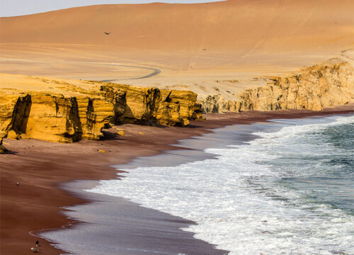 FROM ICA: Ballestas & Paracas Group Tour