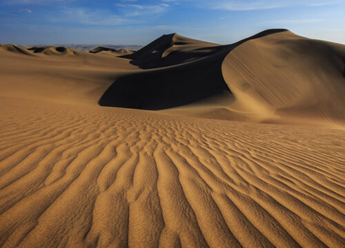 Private Wine tour and Huacachina Oasis