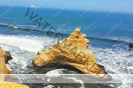 Paracas Reserve | Group Tour