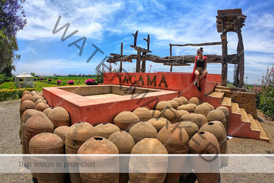 Pisco & Wine Tour | Private Tour