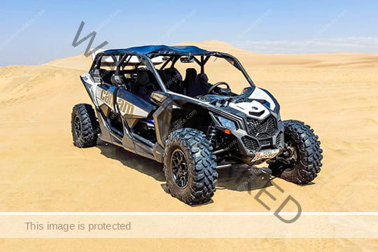 Can-Am & Polaris Dune Buggy 
