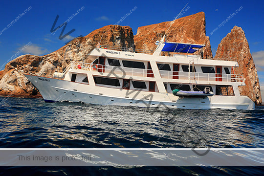 Tailor-Made Tours