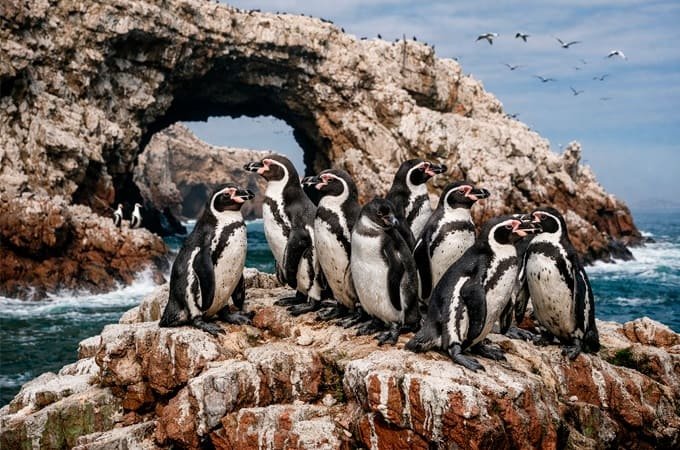 destination-card-image